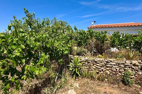 Villa i L'Ampolla, Tarragona, L'Ampolla - € 240.000 | Ref: 1172 - foto 37