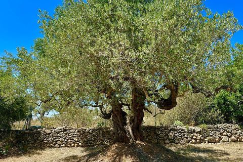 Villa i L'Ampolla, Tarragona, L'Ampolla - € 240.000 | Ref: 1172 - foto 38