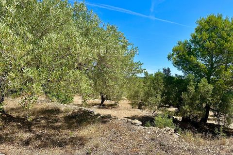 Villa i L'Ampolla, Tarragona, L'Ampolla - € 240.000 | Ref: 1172 - foto 39