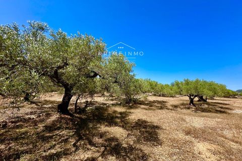 Villa i L'Ampolla, Tarragona, L'Ampolla - € 240.000 | Ref: 1172 - foto 40