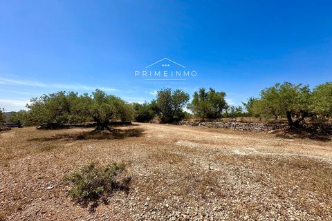 Villa i L'Ampolla, Tarragona, L'Ampolla - € 240.000 | Ref: 1172 - foto 41