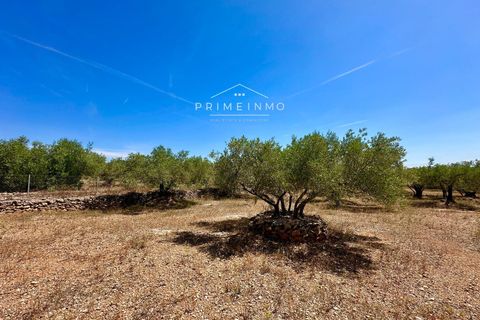 Villa i L'Ampolla, Tarragona, L'Ampolla - € 240.000 | Ref: 1172 - foto 42