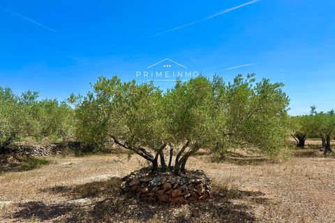 Villa i L'Ampolla, Tarragona, L'Ampolla - € 240.000 | Ref: 1172 - foto 43