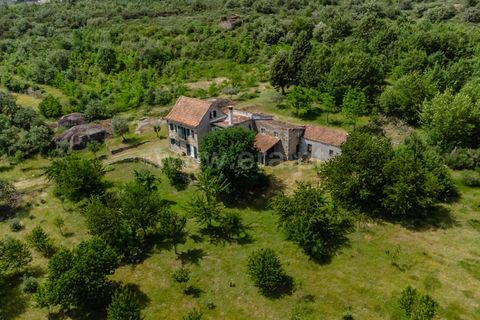 Erhvervsejendom i Seia, Guarda, Seia - € 760.000 | Ref: 382260046 - foto 2