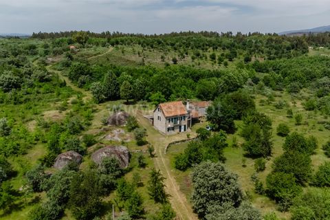 Erhvervsejendom i Seia, Guarda, Seia - € 760.000 | Ref: 382260046 - foto 3