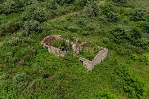 Erhvervsejendom i Seia, Guarda, Seia - € 760.000 | Ref: 382260046 - foto 4