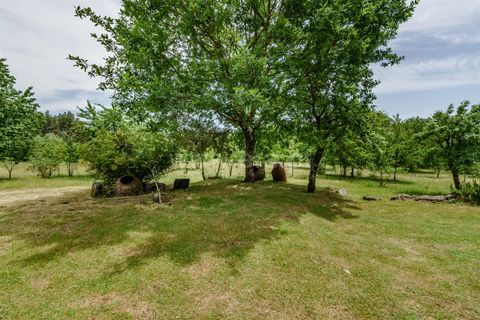 Erhvervsejendom i Seia, Guarda, Seia - € 760.000 | Ref: 382260046 - foto 9