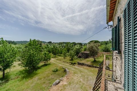 Erhvervsejendom i Seia, Guarda, Seia - € 760.000 | Ref: 382260046 - foto 23