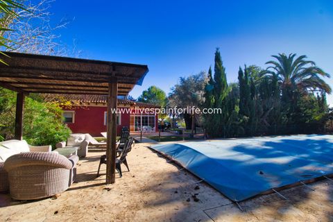 Landejendom i Catral, Alicante, Catral - € 480.000 | Ref: Call JACat-D - foto 8