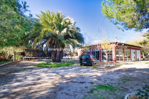 Landejendom i Catral, Alicante, Catral - € 480.000 | Ref: Call JACat-D - foto 12