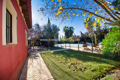 Landejendom i Catral, Alicante, Catral - € 480.000 | Ref: Call JACat-D - foto 13