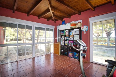 Landejendom i Catral, Alicante, Catral - € 480.000 | Ref: Call JACat-D - foto 33