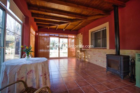 Landejendom i Catral, Alicante, Catral - € 480.000 | Ref: Call JACat-D - foto 36