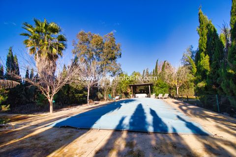 Landejendom i Catral, Alicante, Catral - € 480.000 | Ref: Call JACat-D - foto 37