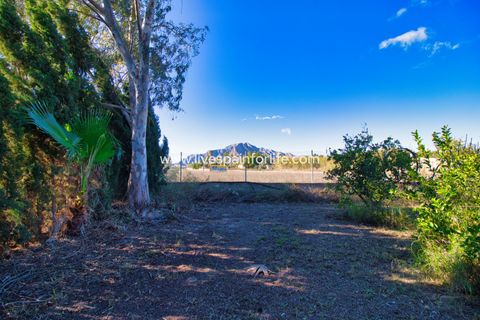 Landejendom i Catral, Alicante, Catral - € 480.000 | Ref: Call JACat-D - foto 39