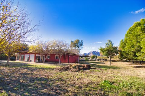 Landejendom i Catral, Alicante, Catral - € 480.000 | Ref: Call JACat-D - foto 42