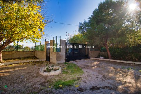 Landejendom i Catral, Alicante, Catral - € 480.000 | Ref: Call JACat-D - foto 45