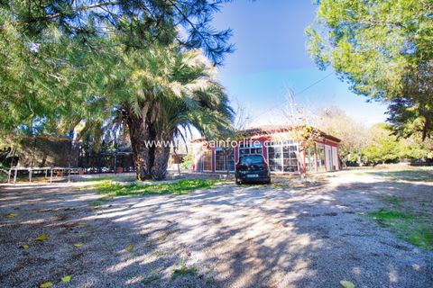 Landejendom i Catral, Alicante, Catral - € 480.000 | Ref: Call JACat-D - foto 46