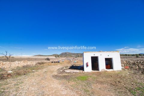 Farm i Monovar, Alicante, Monovar - € 200.000 | Ref: Mon KGeq-D - foto 30