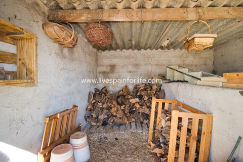 Farm i Monovar, Alicante, Monovar - € 200.000 | Ref: Mon KGeq-D - foto 31