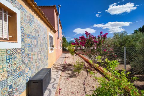 Landejendom i Albatera, Alicante, Albatera - € 280.000 | Ref: Alba ENx - foto 25