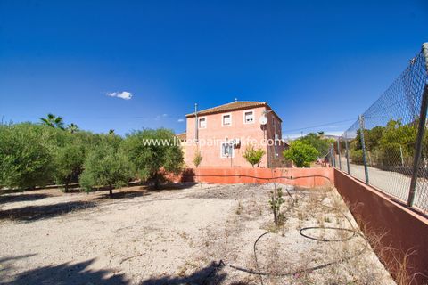 Landejendom i Albatera, Alicante, Albatera - € 280.000 | Ref: Alba ENx - foto 31