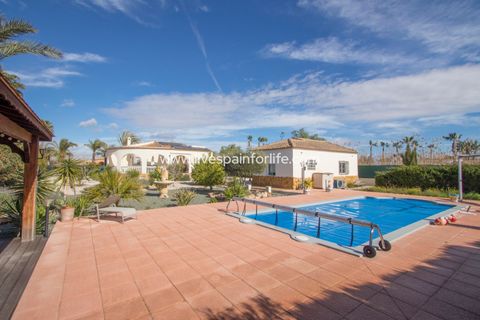 Landejendom i Catral, Alicante, Catral - € 359.999 | Ref: CAT DJH - foto 1