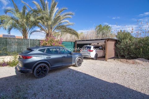 Landejendom i Catral, Alicante, Catral - € 359.999 | Ref: CAT DJH - foto 41
