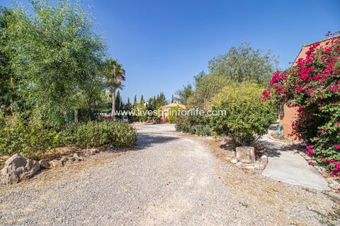 Landejendom i Catral, Alicante, Catral - € 975.000 | Ref: Cat Tam-D - foto 11