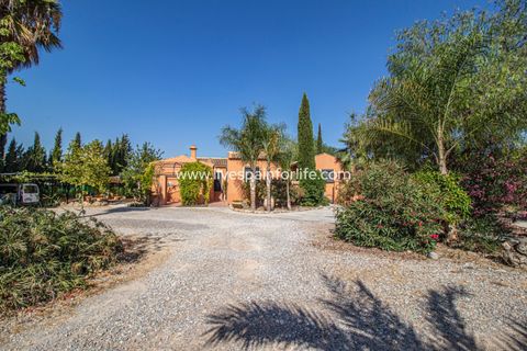 Landejendom i Catral, Alicante, Catral - € 975.000 | Ref: Cat Tam-D - foto 13
