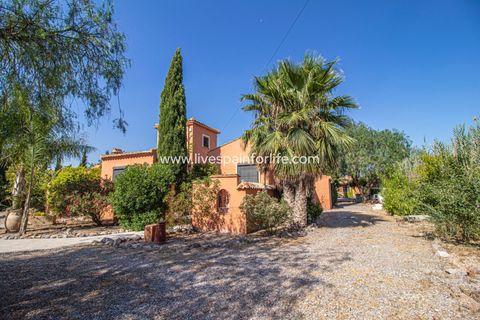 Landejendom i Catral, Alicante, Catral - € 975.000 | Ref: Cat Tam-D - foto 20
