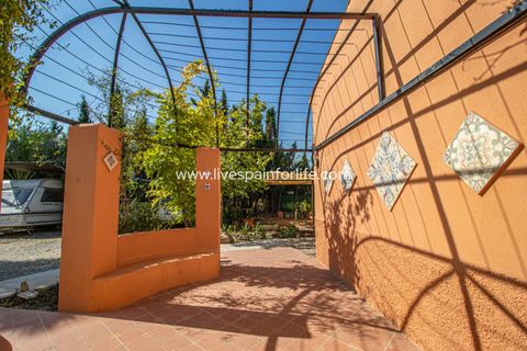 Landejendom i Catral, Alicante, Catral - € 975.000 | Ref: Cat Tam-D - foto 26
