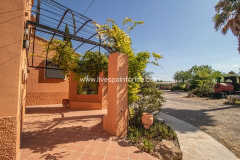 Landejendom i Catral, Alicante, Catral - € 975.000 | Ref: Cat Tam-D - foto 27