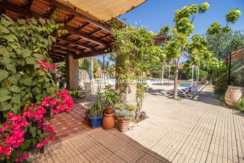 Landejendom i Catral, Alicante, Catral - € 975.000 | Ref: Cat Tam-D - foto 30