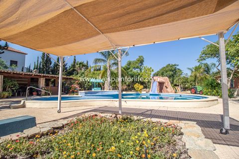 Landejendom i Catral, Alicante, Catral - € 975.000 | Ref: Cat Tam-D - foto 45