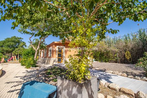 Landejendom i Catral, Alicante, Catral - € 975.000 | Ref: Cat Tam-D - foto 46