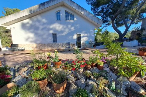 Landejendom i Sax, Alicante, Sax - € 539.950 | Ref: IVD13875 - foto 2