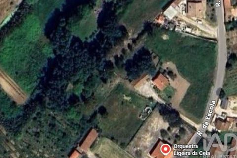 Helårsgrund i Alcobaca, Leiria, Alcobaca - € 375.000 | Ref: 883919 - foto 3