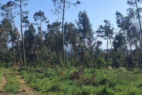 Helårsgrund i Alcobaca, Leiria, Alcobaca - € 375.000 | Ref: 883919 - foto 10