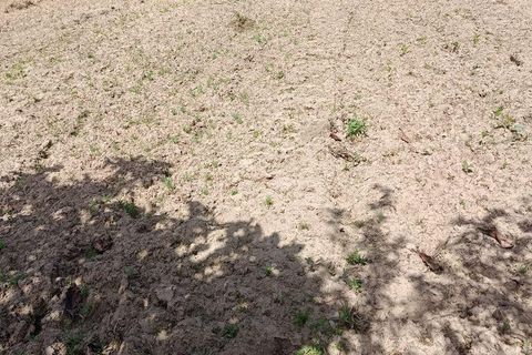 Helårsgrund i Alcobaca, Leiria, Alcobaca - € 375.000 | Ref: 883919 - foto 15