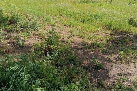 Helårsgrund i Alcobaca, Leiria, Alcobaca - € 375.000 | Ref: 883919 - foto 18