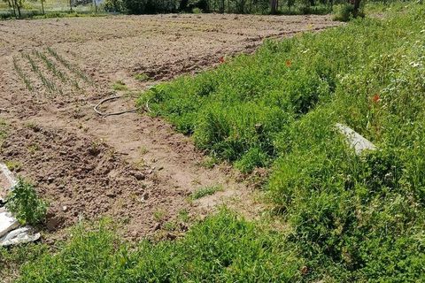 Helårsgrund i Alcobaca, Leiria, Alcobaca - € 375.000 | Ref: 883919 - foto 22
