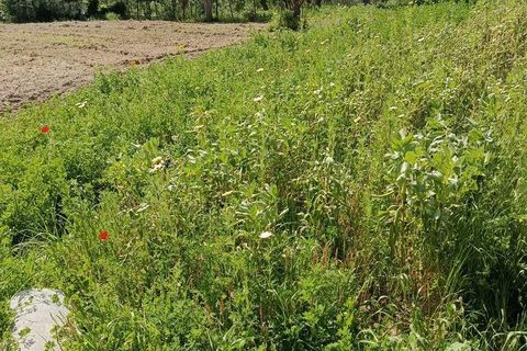Helårsgrund i Alcobaca, Leiria, Alcobaca - € 375.000 | Ref: 883919 - foto 24