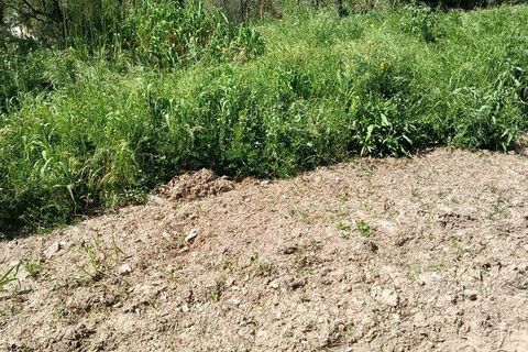 Helårsgrund i Alcobaca, Leiria, Alcobaca - € 375.000 | Ref: 883919 - foto 32