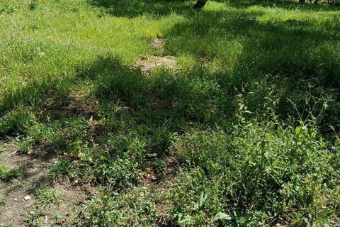 Helårsgrund i Alcobaca, Leiria, Alcobaca - € 375.000 | Ref: 883919 - foto 35