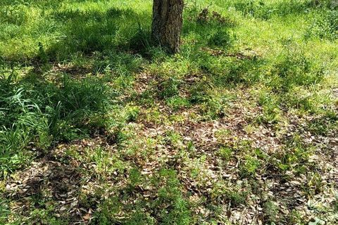 Helårsgrund i Alcobaca, Leiria, Alcobaca - € 375.000 | Ref: 883919 - foto 36