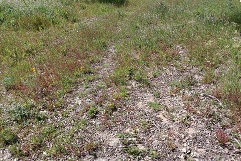 Helårsgrund i Alcobaca, Leiria, Alcobaca - € 375.000 | Ref: 883919 - foto 39