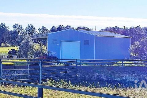 Byhus i Elvas, Portalegre, Elvas - € 2.500.000 | Ref: 91418 - foto 21