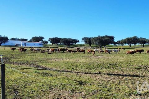 Byhus i Elvas, Portalegre, Elvas - € 2.500.000 | Ref: 91418 - foto 24
