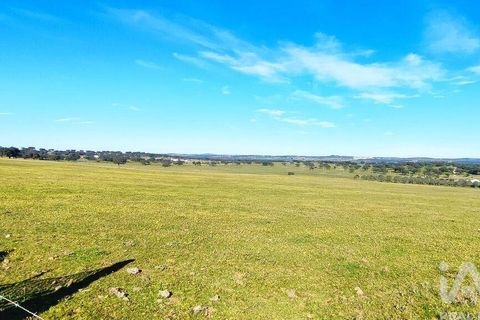 Byhus i Elvas, Portalegre, Elvas - € 2.500.000 | Ref: 91418 - foto 30